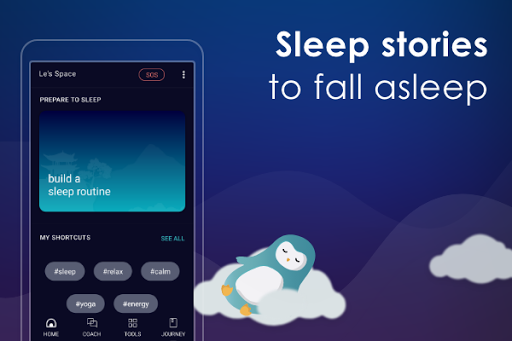 Screenshot Sleep & Meditation : Wysa