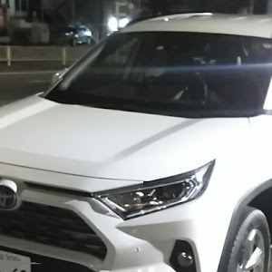 RAV4 ACA31W
