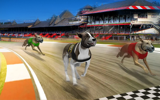 Pet Dog Racing Simulator Games