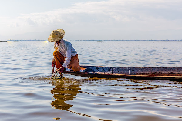 PESCA di pampurio