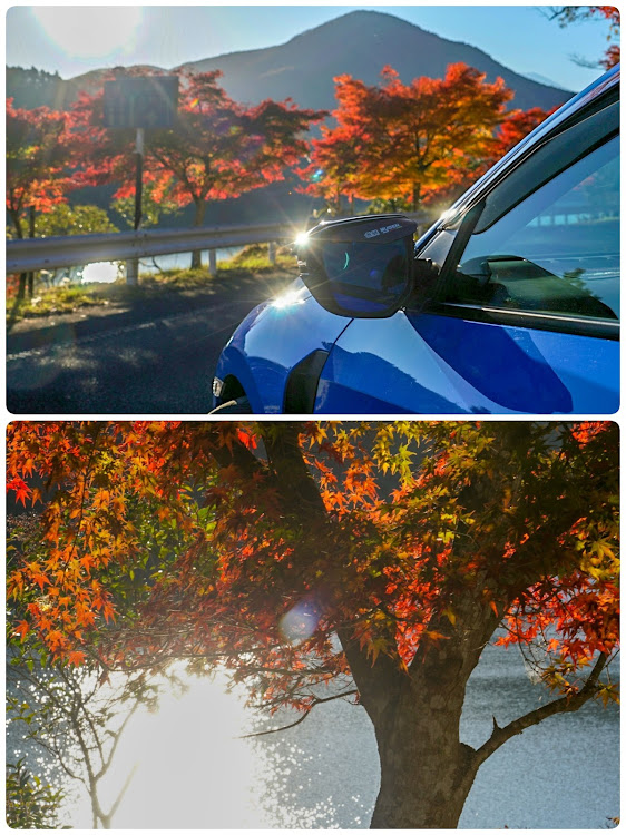 シビックタイプRのシビックタイプR・無限・今年の紅葉はイマイチ・丹沢湖・ひとりツーリングに関するカスタム事例の投稿画像12枚目