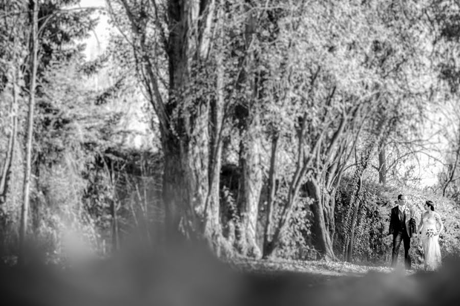 Fotógrafo de casamento Rodrigo Maulen (rodrigomaulen). Foto de 20 de maio 2016