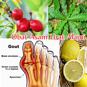 Download Obat Asam Urat Alami For PC Windows and Mac