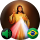 Download Terço da Divina Misericórdia (Audio) For PC Windows and Mac 1.0