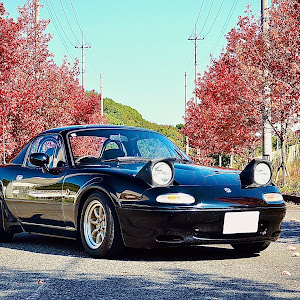 ロードスター NA8C