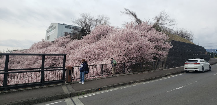 の投稿画像2枚目