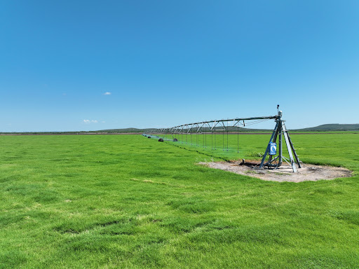 green field with irrigation system in this luxury farmhouse for sale in Knippa ($5,950,000)