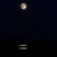 Luna fuori dal ...pozzo di 