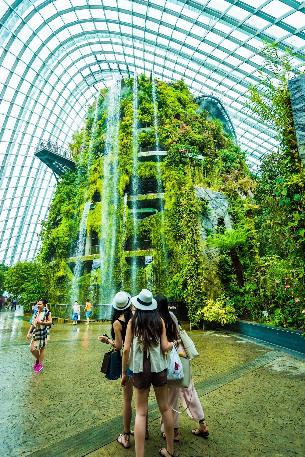 Gardens by the Bay Cloud Forest2