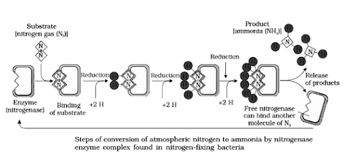 Solution Image