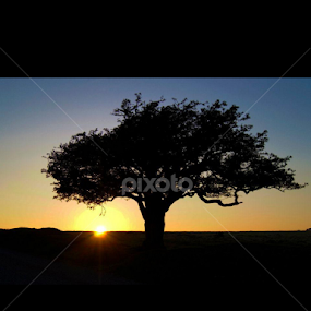 by Emma Robertson - Landscapes Sunsets & Sunrises