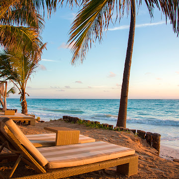 VIK hotel Cayena Beach | Web Oficial | Punta Cana, República Dominicana  | VIK Hotels