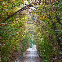 Tunnel d’autunno di 