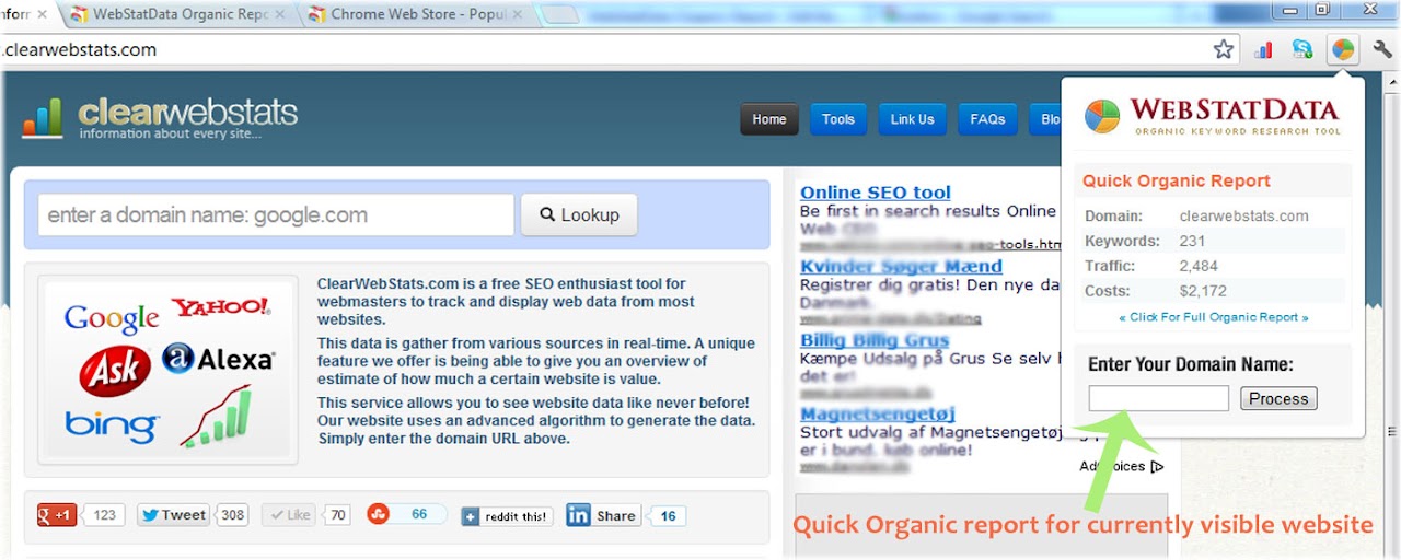 WebStatData Organic Report Preview image 2