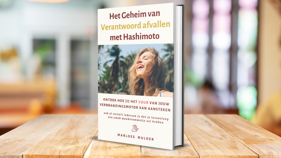 Ontdek in dit e-book hoe je jouw energie weer terug krijgt, ook al vertelt iedereen je dat je levenslang een zwak waakvlammetje zult hebben.  