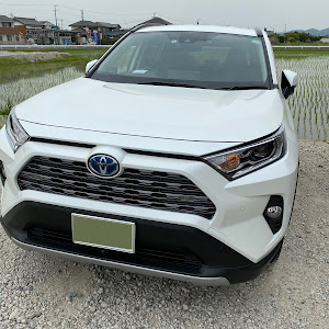 RAV4 AXAH54