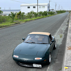 ロードスター NA8C