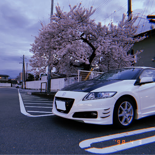 きょろすけのプロフィール画像