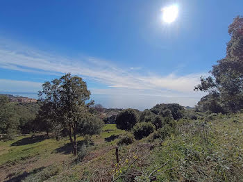 terrain à Bastia (2B)