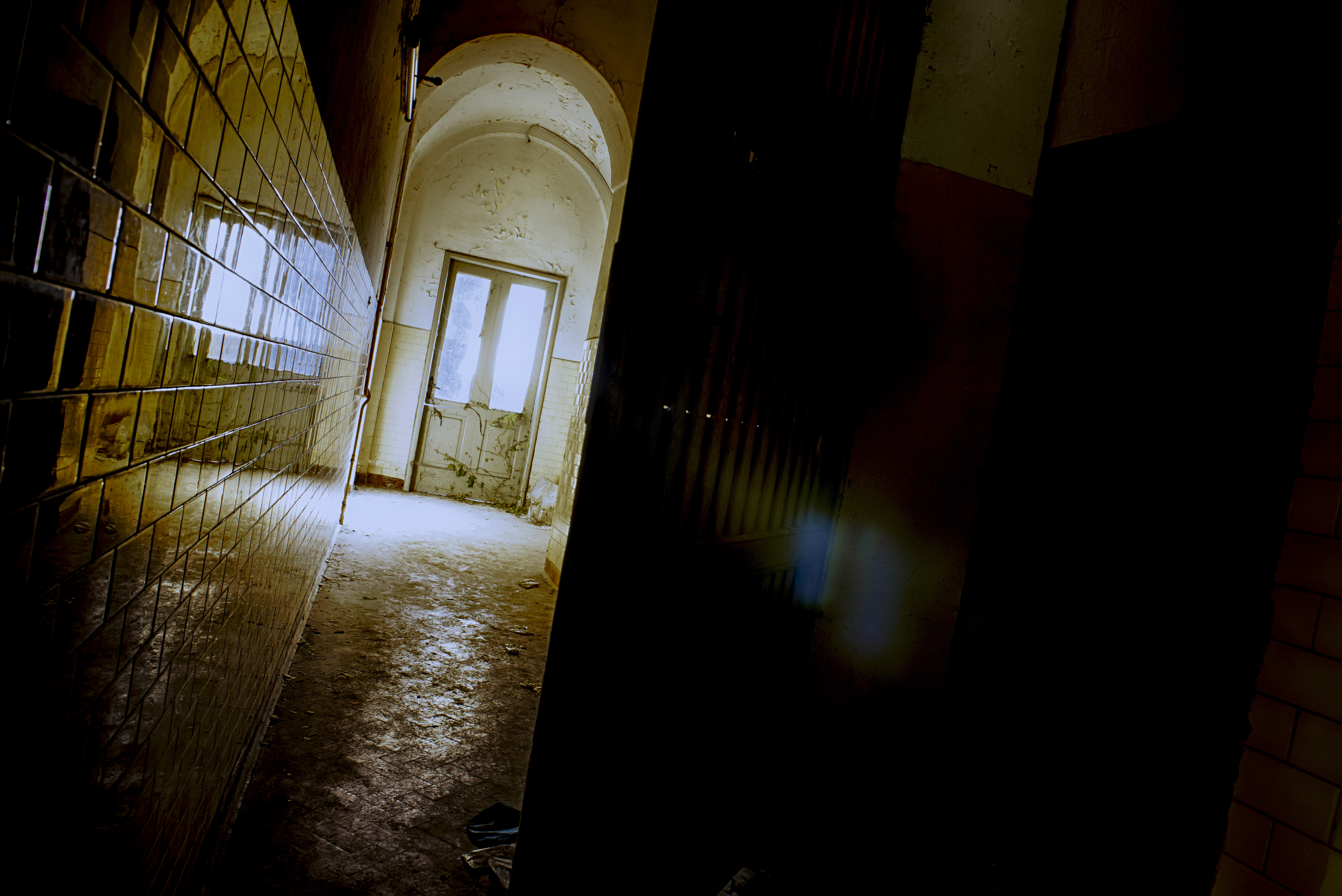 Dove le luci si sopengono di daniele sala