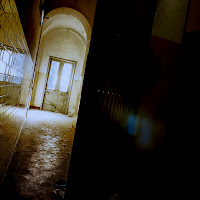 Dove le luci si sopengono di 