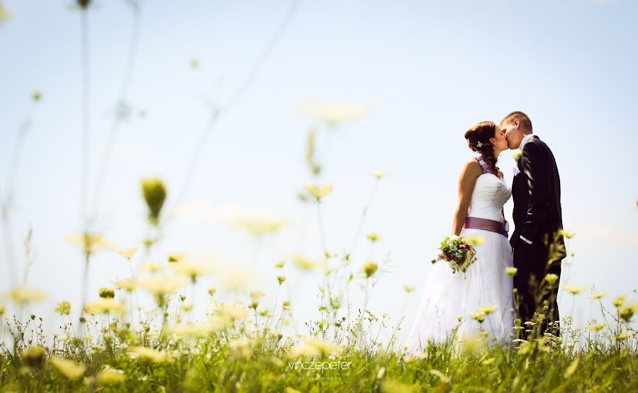 Wedding photographer Vincze Péter (vinczepeter). Photo of 18 May 2016