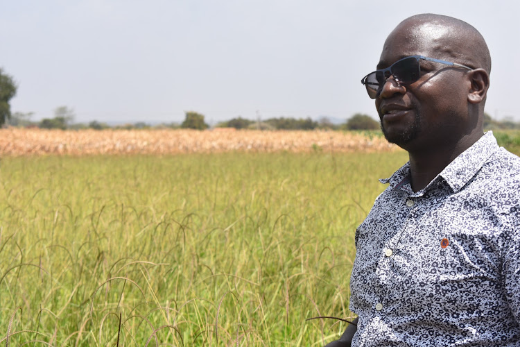 Hay production expert Dennis Kubasu.