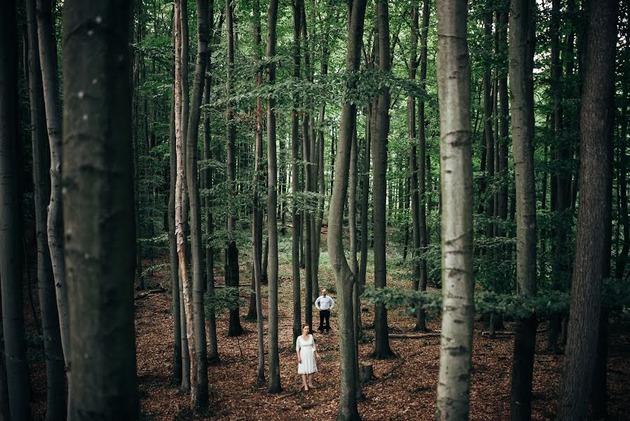 Hochzeitsfotograf Tomas Pospichal (pospo). Foto vom 13. August 2018