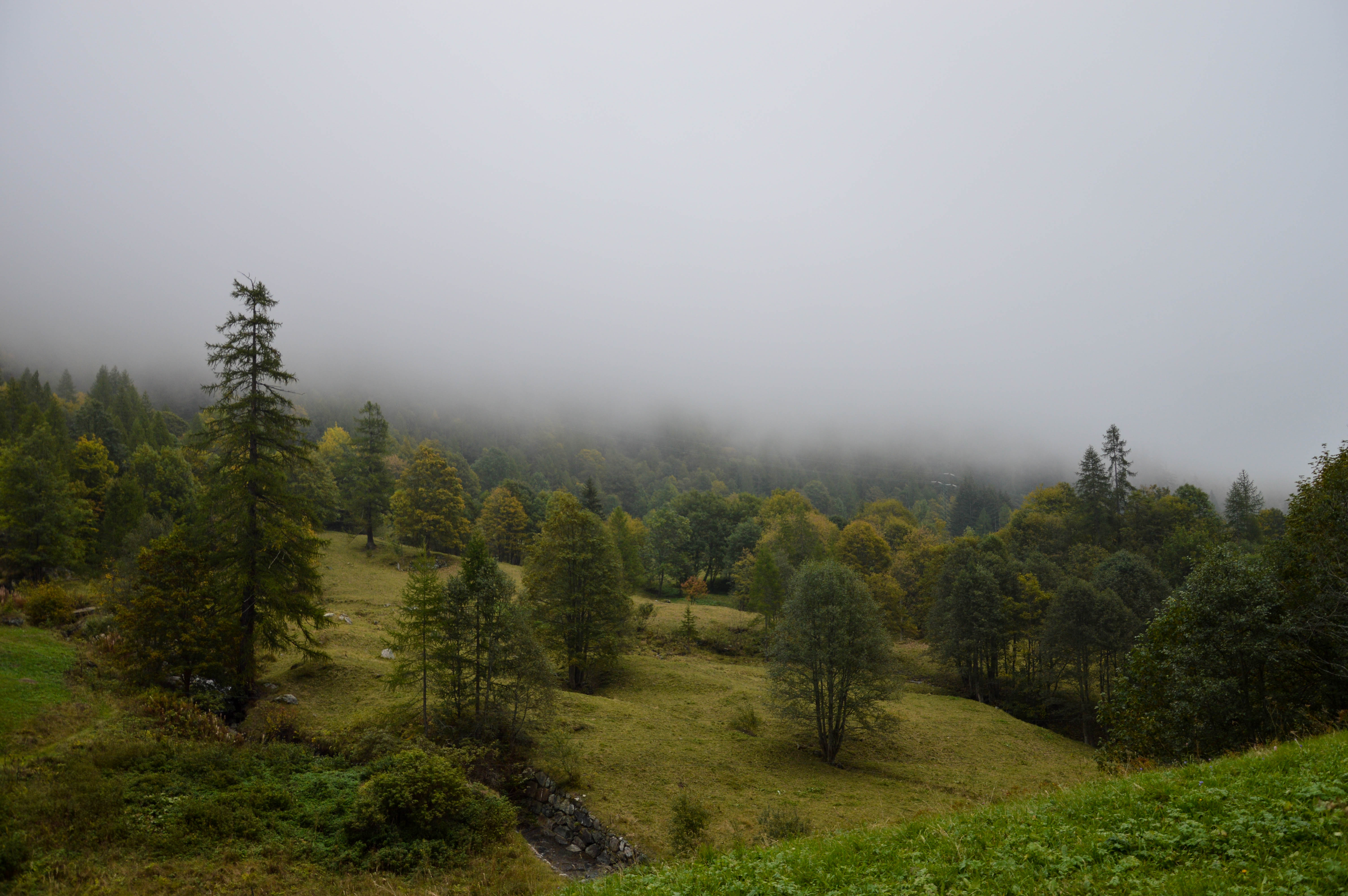 Oltre la nebbia  di eleonhoran