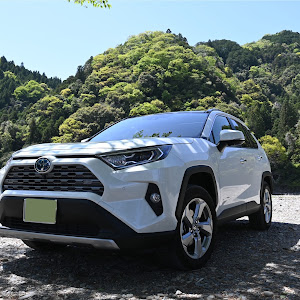 RAV4 AXAH54