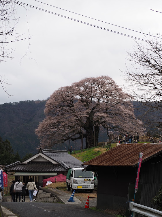 の投稿画像3枚目