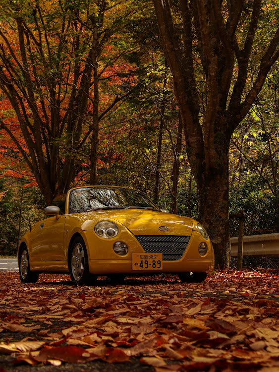 コペンの紅葉と愛車・オープンカーのある生活・次は大銀杏コラボじゃ！に関するカスタム事例の投稿画像2枚目