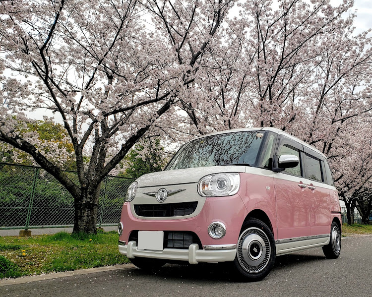 ムーヴキャンバスの桜とコラボ・みんなの内装見てみたい・シートカバー・ムーヴキャンバスに関するカスタム事例の投稿画像1枚目