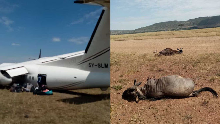 A safarilink plane crashes upon landing in Masai Mara