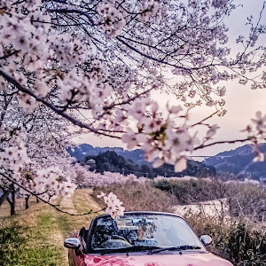 コペン LA400K