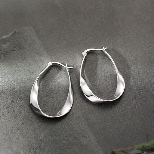 Title 5, Sterling Silver Earrings Mobius Niche