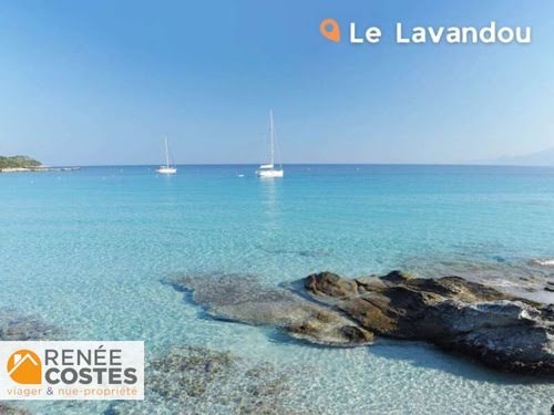 Vente viager 4 pièces 92 m² à Le Lavandou (83980), 342 000 €