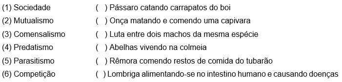 Assinale a sequência correta: