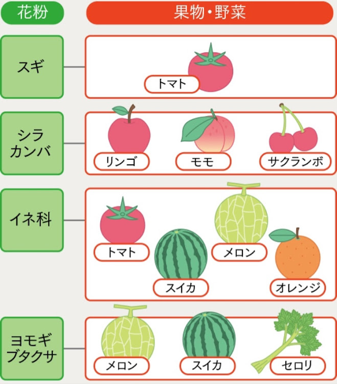 の投稿画像3枚目