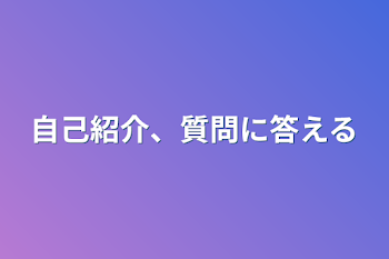 自己紹介、質問に答える