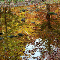 il riflesso dell'autunno di 