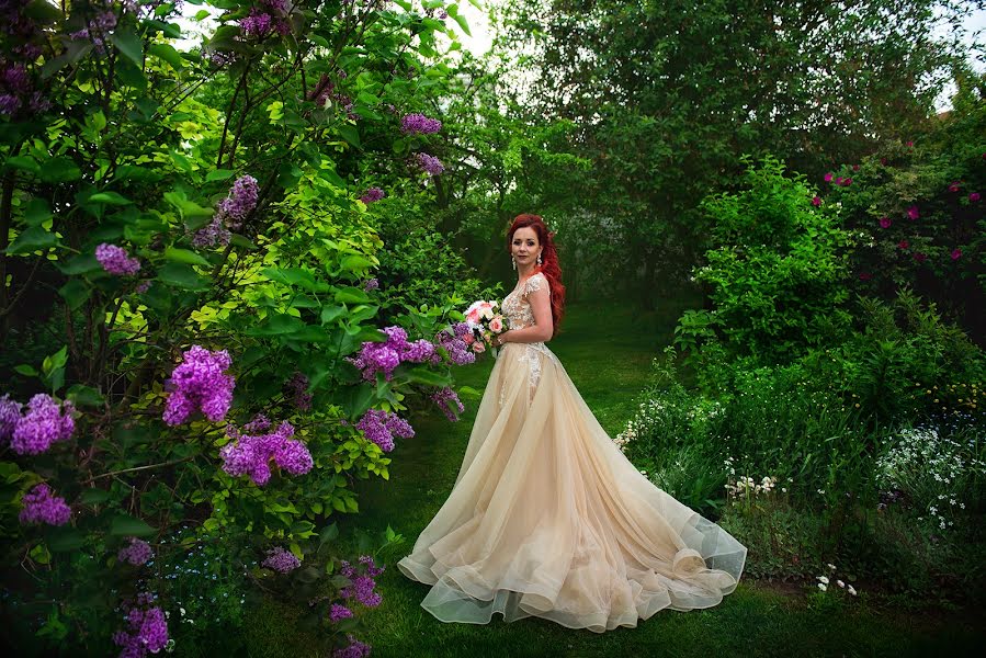 Photographe de mariage Aleksandr Alferov (alfor). Photo du 3 juin 2017