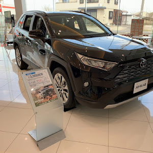 C-HR ZYX10