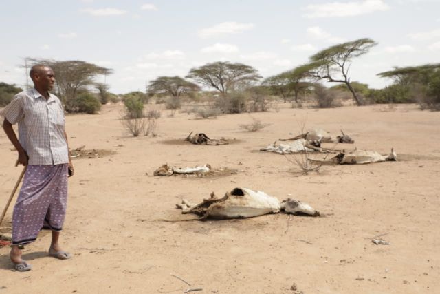 A herder in Liboi subcounty, Garissa.