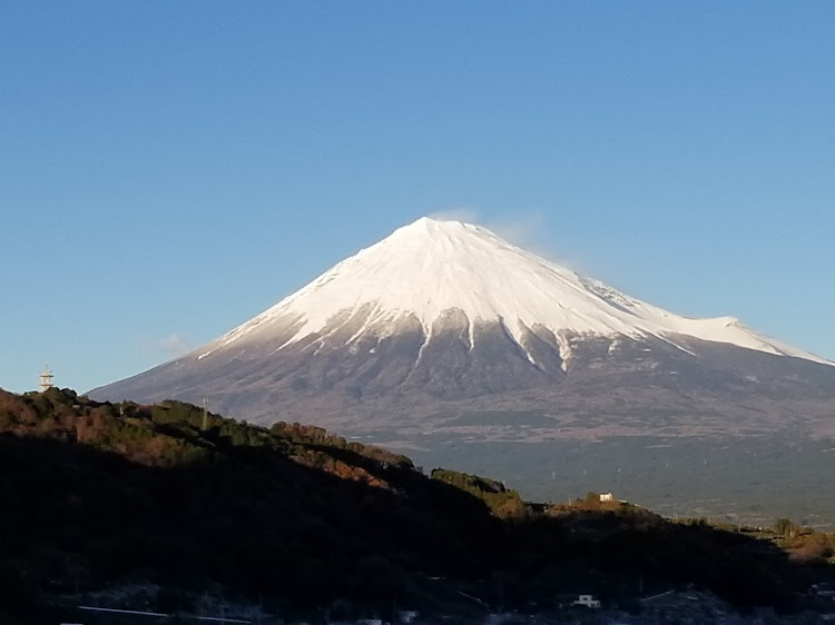 の投稿画像4枚目