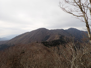 右奥に小津権現山