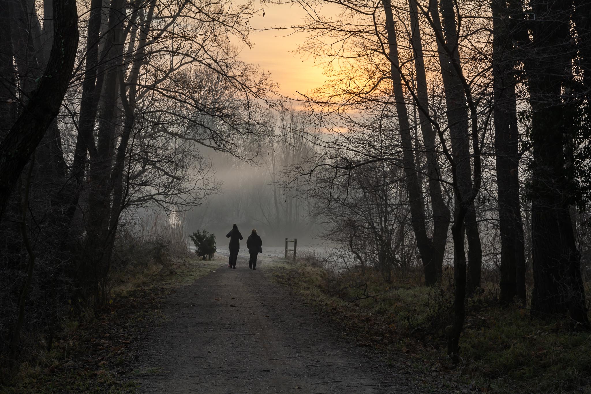 camminando all'alba di davide negro