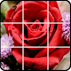 Download Flower games puzzle For PC Windows and Mac 1.0