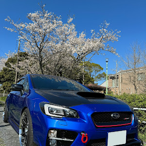 WRX STI VAB