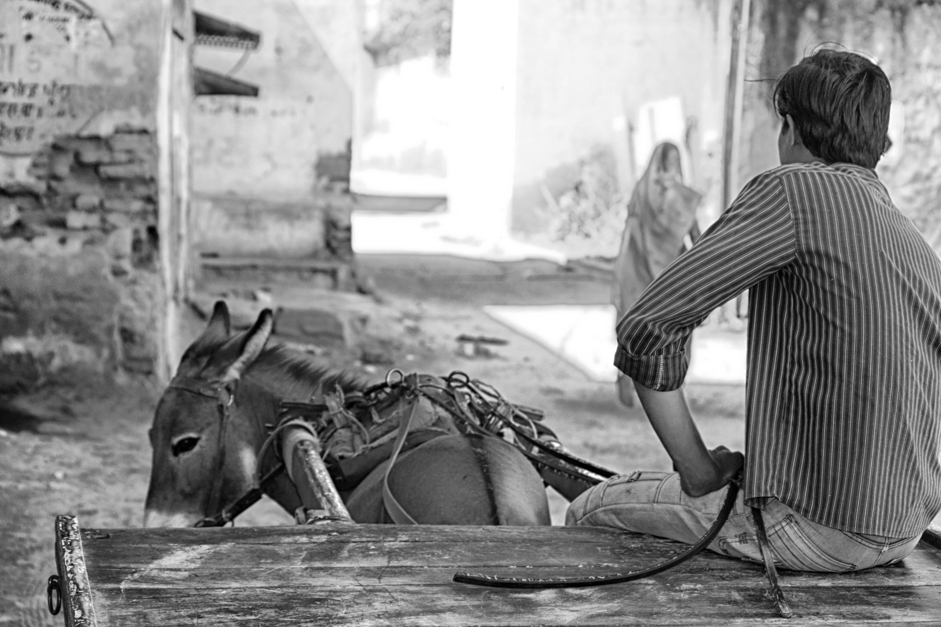 per le strade del Rajasthan di antonioromei